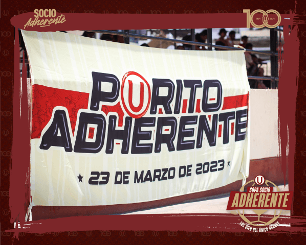 Foto de promoción 10